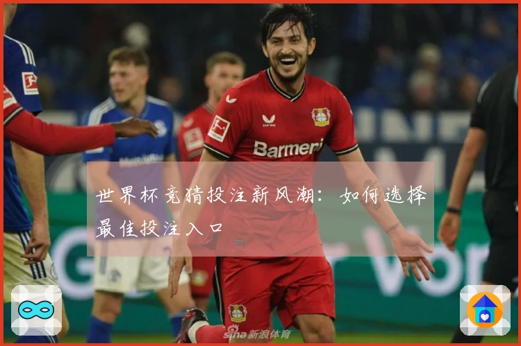 世界杯竞猜投注新风潮：如何选择最佳投注入口