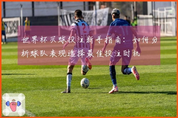 世界杯买球投注新手指南：如何分析球队表现选择最佳投注时机