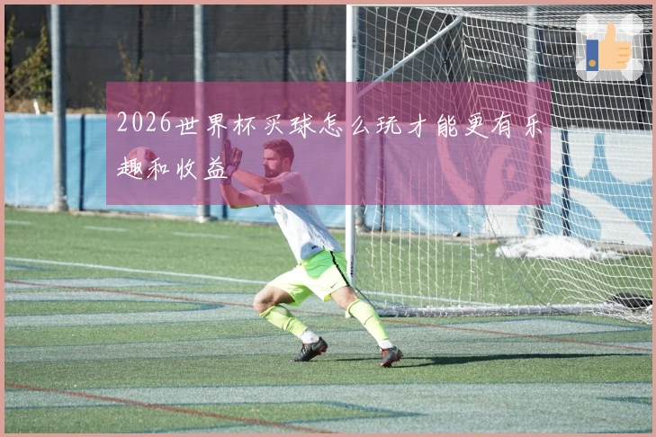 2026世界杯买球怎么玩才能更有乐趣和收益
