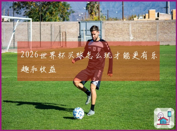 2026世界杯买球怎么玩才能更有乐趣和收益