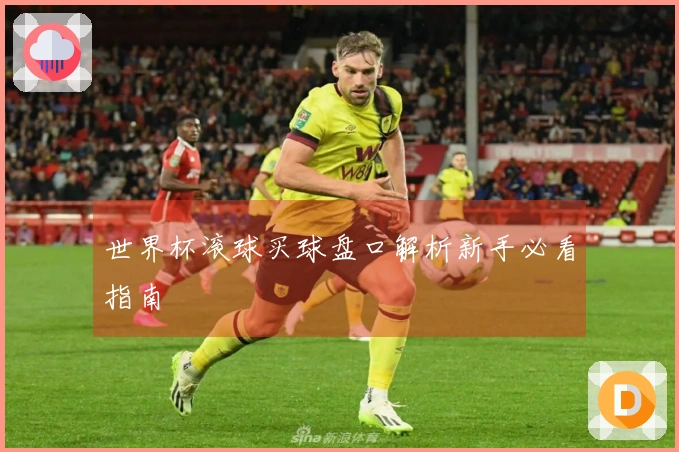 世界杯滚球买球盘口解析新手必看指南