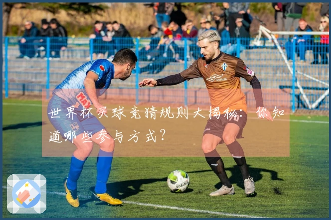 世界杯买球竞猜规则大揭秘：你知道哪些参与方式？