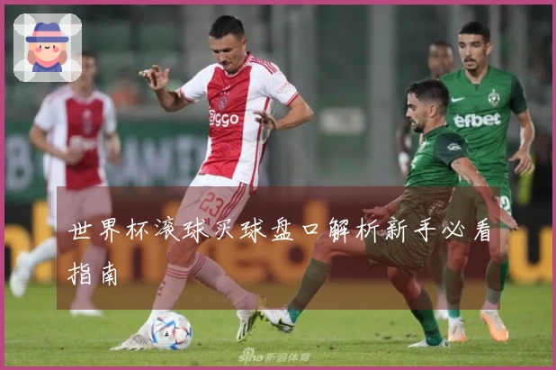 世界杯滚球买球盘口解析新手必看指南