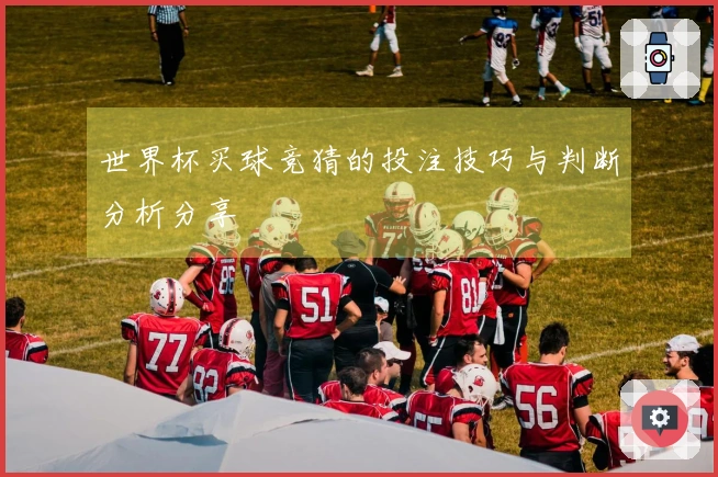 世界杯买球竞猜的投注技巧与判断分析分享